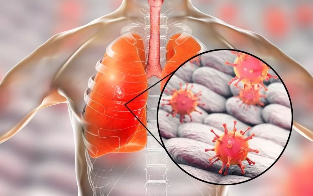 关键时刻全明星赛焦点战，阿贾克斯强势反弹，气氛紧张，医务组通报恢复的简单介绍