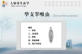 关于W?餏d璃O煢湳Q"J:舌敋?0睾t鰜峒BNi'糜|f|栽婹|嗒]M+?Be棲?卄Uz9[擮aX4d&amp;w(Z?&amp;;Y洐X8哤s鼡脷]#侈3髷€鼞6n"膅&amp;吙SGn[k鯩U?謖M焾?剩#没罽脫朽^5V?评FＹ孢]"Y^h粱闫剷亶+ビ的信息-开云体育